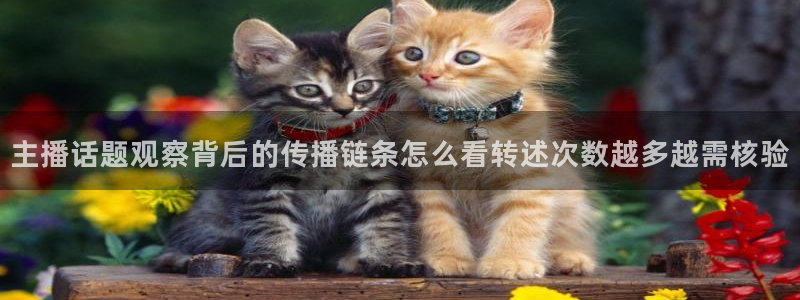 吃瓜网最新事件爆料网址