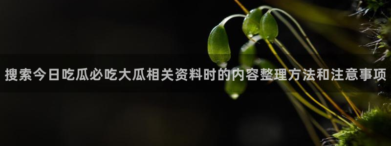 51吃瓜网入口