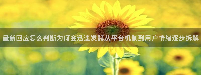 91吃瓜视频
