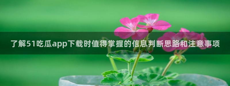 国产吃瓜在线:了解51吃瓜app下载时值得掌握的信息判断思路和注意事项