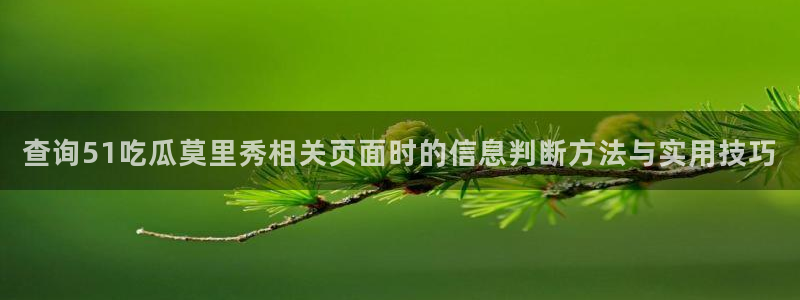 51吃瓜在线:查询51吃瓜莫里秀相关页面时的信息判断方法与实用技巧