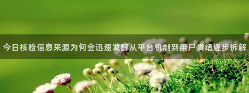 91吃瓜网:今日核验信息来源为何会迅速发酵从平台机制到用户情绪逐步拆解